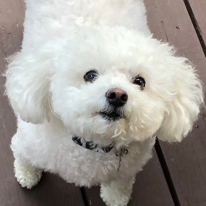 Meet your Posher, Scott